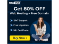 web-hosting-india-small-1